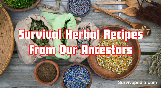 Big Herbs Recipes 11 Survival Herbal Recipes